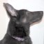 PATTYH's avatar