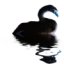 Gr8ful1's avatar