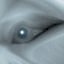 ThreeFish$'s avatar
