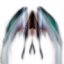alphalmoni's avatar