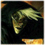 duveV's avatar