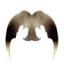NITEHAWK61's avatar